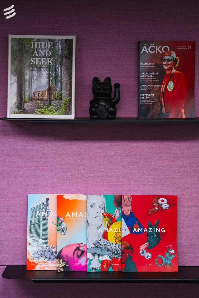 SAMOSTATNÁ/Ý ÚČETNÍ pro Amazing Places a další projekty