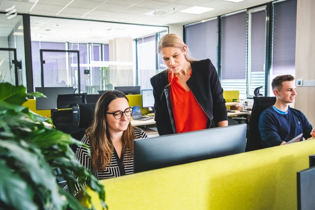 Operations Support Consultant